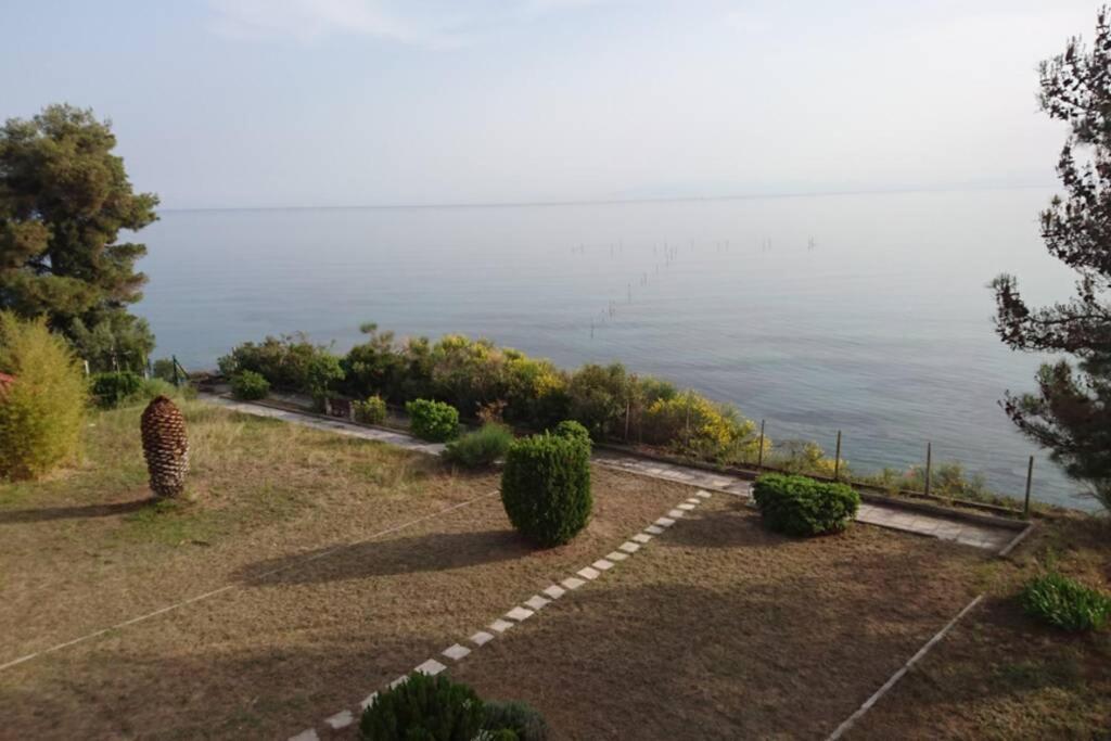 Ferienwohnung Sunshine House Offering Spectacular Views To Olymp A Nea Iraklia Exterior foto